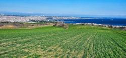 Land With Full Sea And Nature View Suitable For 75 Villa Projects In Tekirdağ Barbarosta