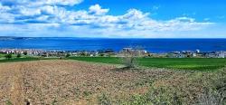Terrain For Sale in Barbaros Nbh. Süleymanpaşa Kumbağ - Housing Zoned - 6.400 m²