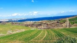 Land Suitable For 8 Villa Projects With Full Sea And Nature Views In Tekirdağ Barbarosta