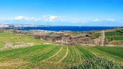 Terrain For Sale in Barbaros Nbh. Süleymanpaşa Kumbağ - Villa Zoned - 4.300 m²