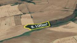 Field For Sale in Oruçbeyli Nbh. Süleymanpaşa - Field Zoned - 8.100 m²