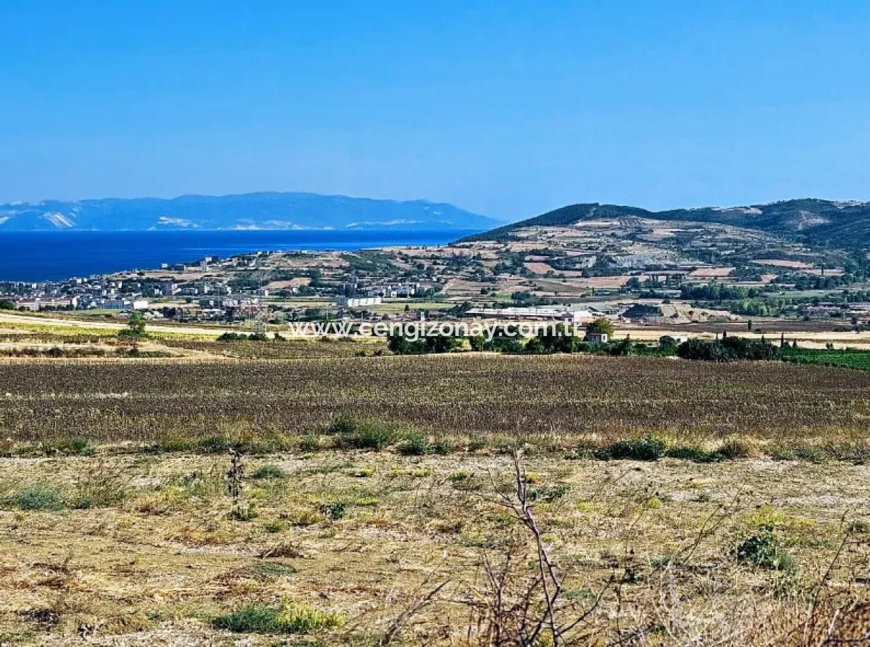 Asyaport Port Is Within The Current Zoning Plan ( Commercial