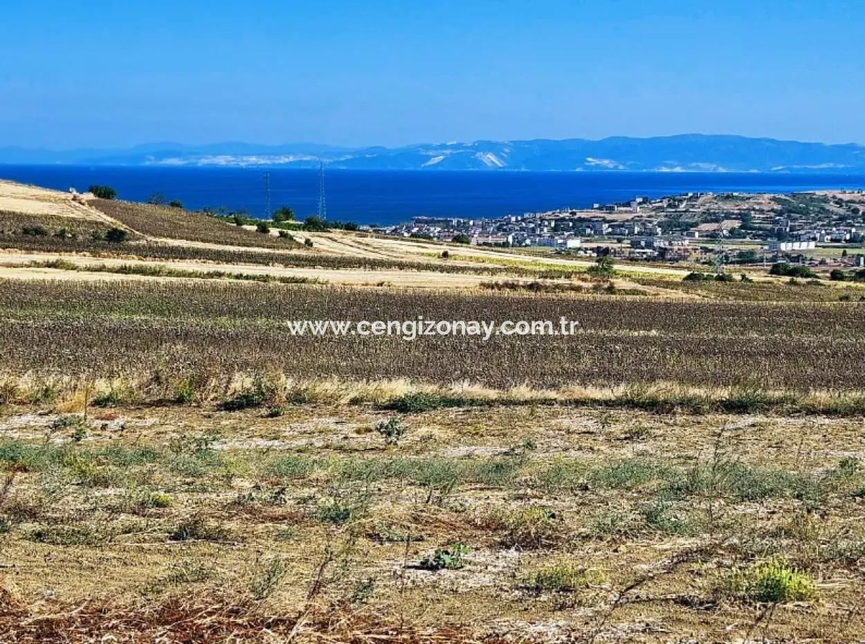 Asyaport Port Is Within The Current Zoning Plan ( Commercial