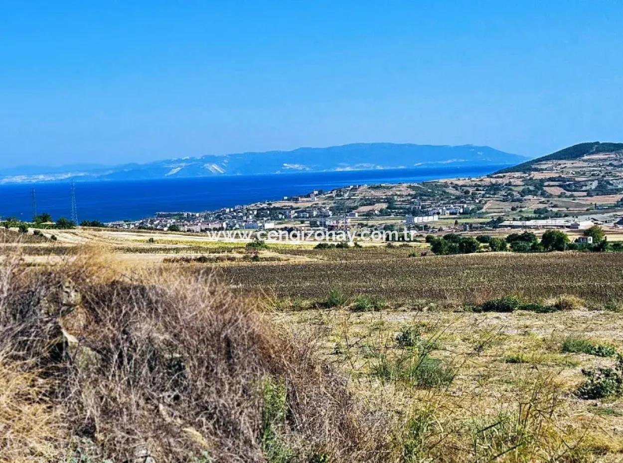 Asyaport Port Is Within The Current Zoning Plan ( Commercial