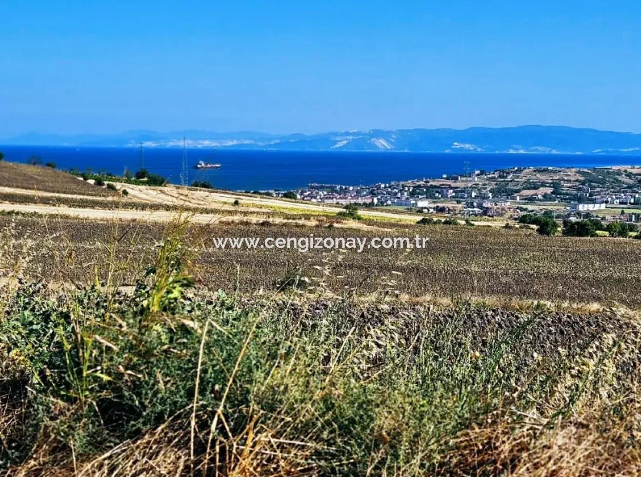 Asyaport Port Is Within The Current Zoning Plan ( Commercial