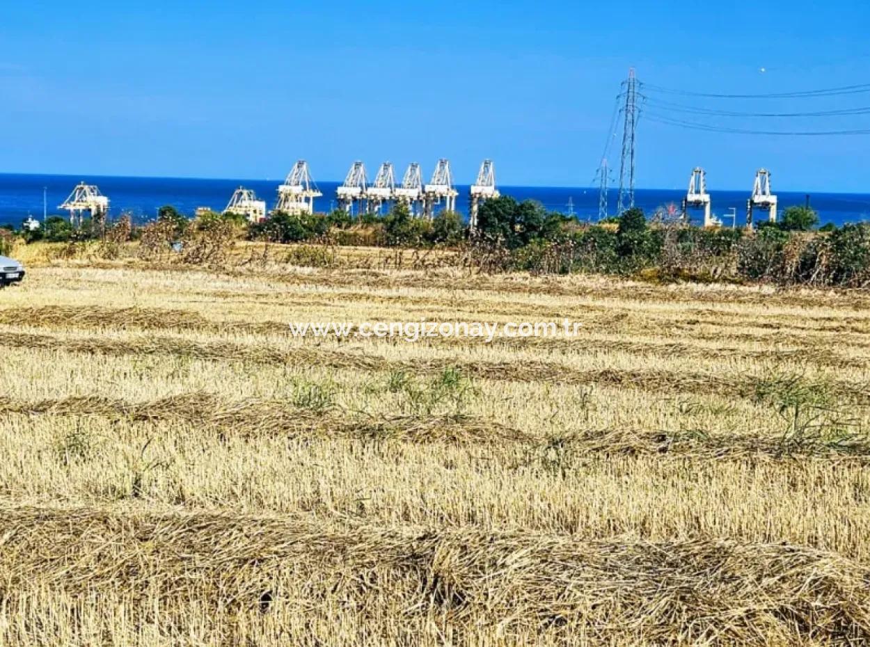 8.500 M2 Residential Zoned Coupon Field For Urgent Sale Close To Asyaport Port