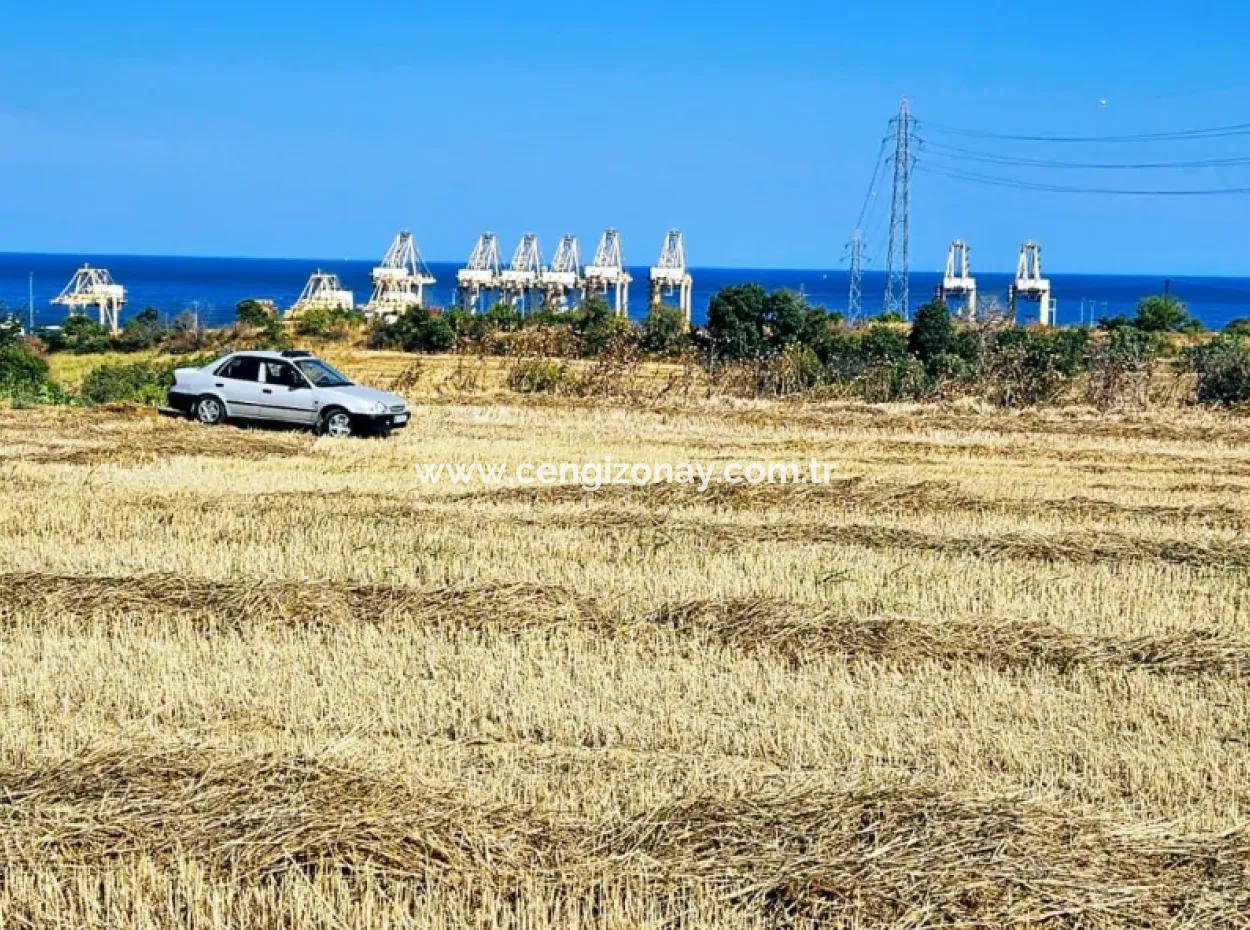 8.500 M2 Residential Zoned Coupon Field For Urgent Sale Close To Asyaport Port
