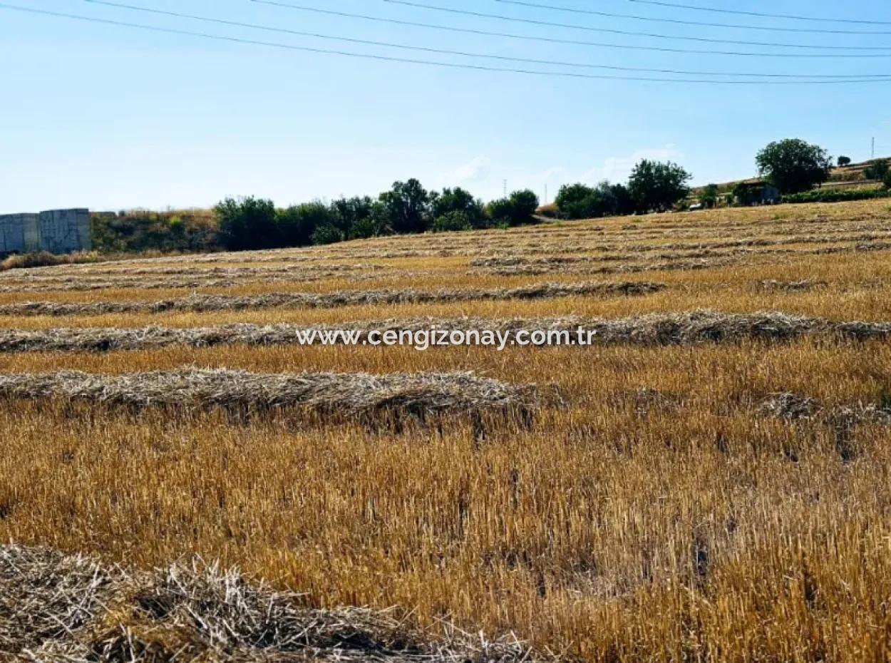 8.500 M2 Residential Zoned Coupon Field For Urgent Sale Close To Asyaport Port