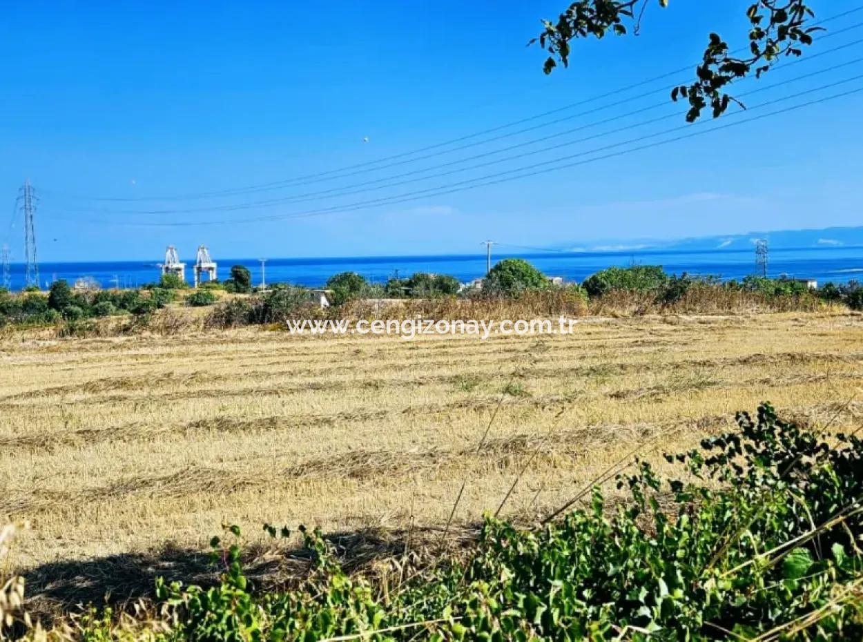 8.500 M2 Residential Zoned Coupon Field For Urgent Sale Close To Asyaport Port