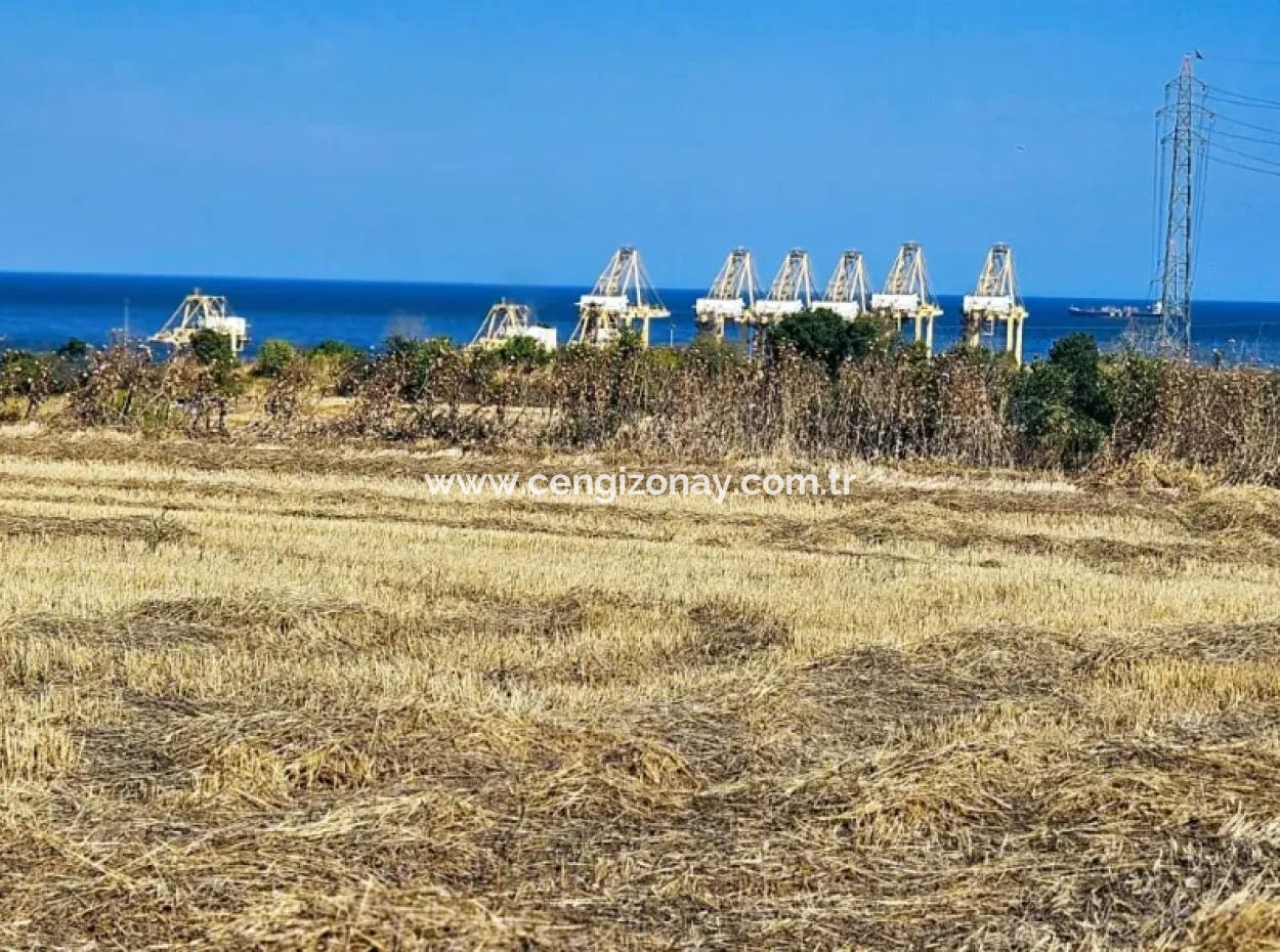 4.150 M2 Residential Zoned Field For Urgent Sale Just 1 Km From Asyaport Port