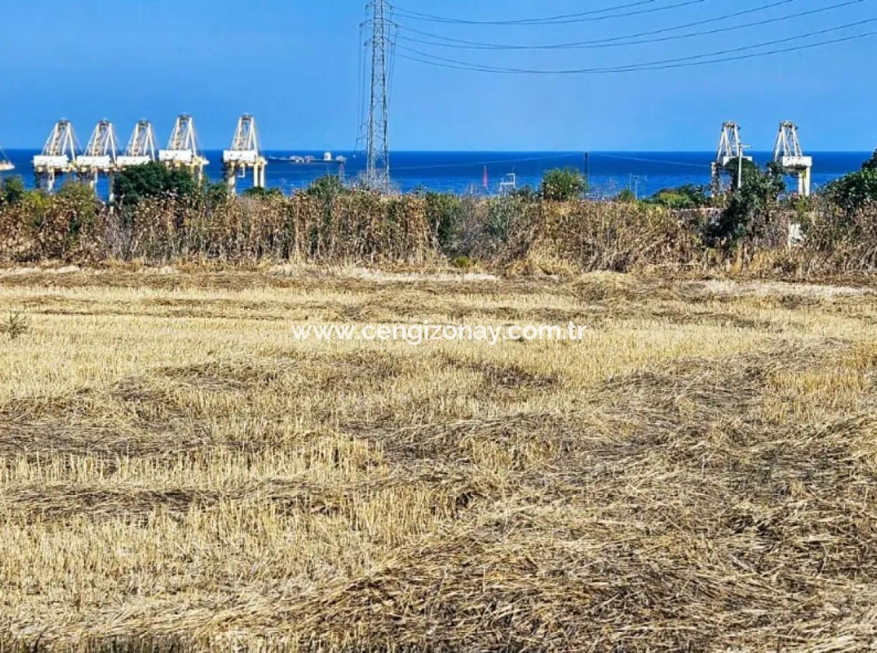 4.150 M2 Residential Zoned Field For Urgent Sale Just 1 Km From Asyaport Port