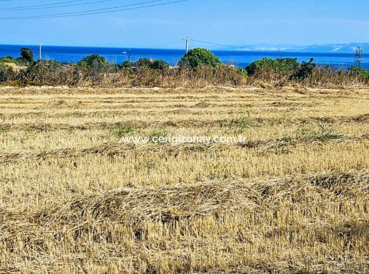 4.150 M2 Residential Zoned Field For Urgent Sale Just 1 Km From Asyaport Port