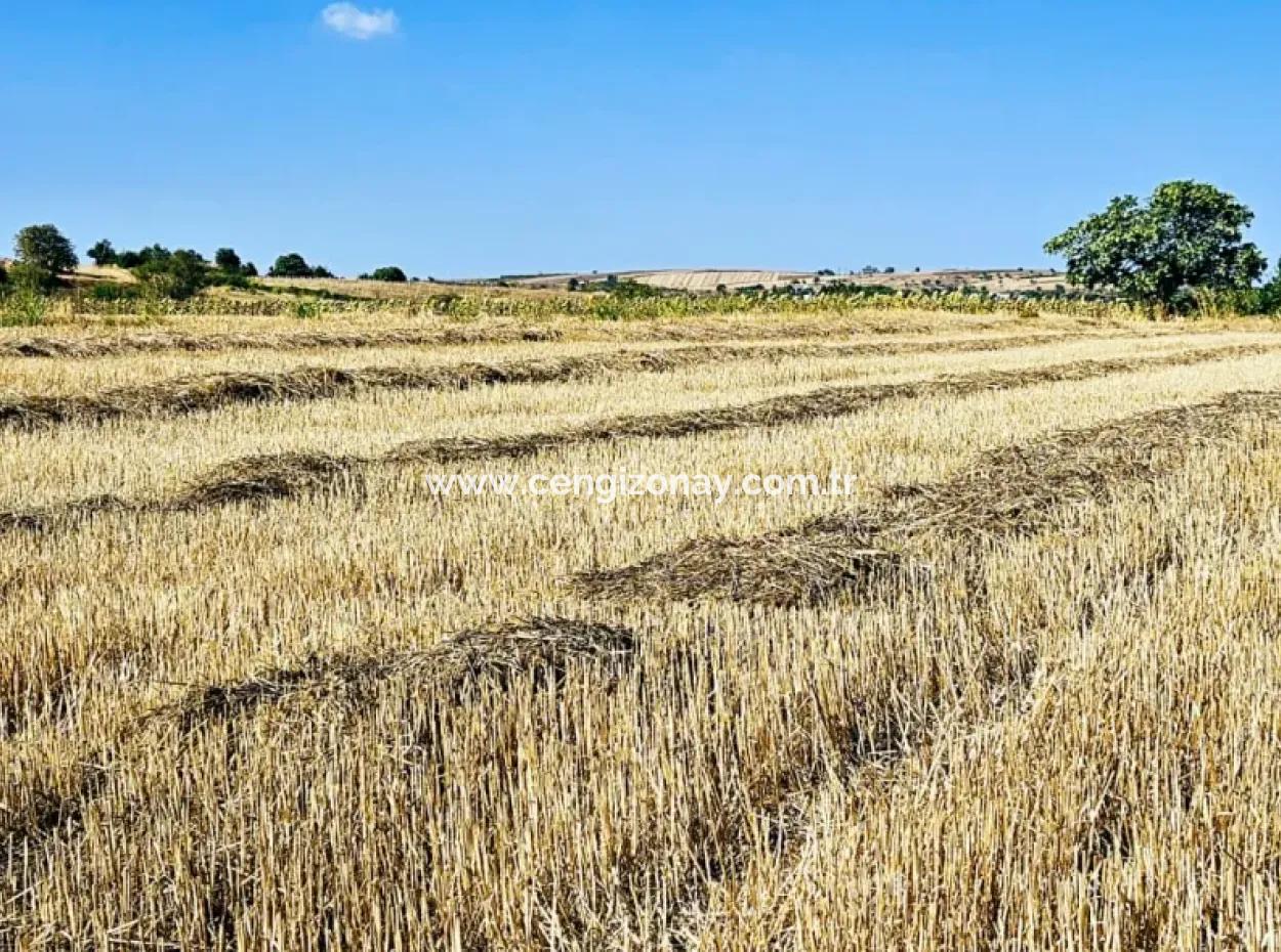 4.150 M2 Residential Zoned Field For Urgent Sale Just 1 Km From Asyaport Port