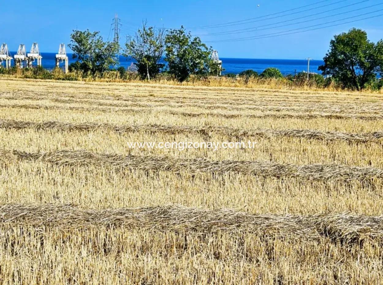4.150 M2 Residential Zoned Field For Urgent Sale Just 1 Km From Asyaport Port