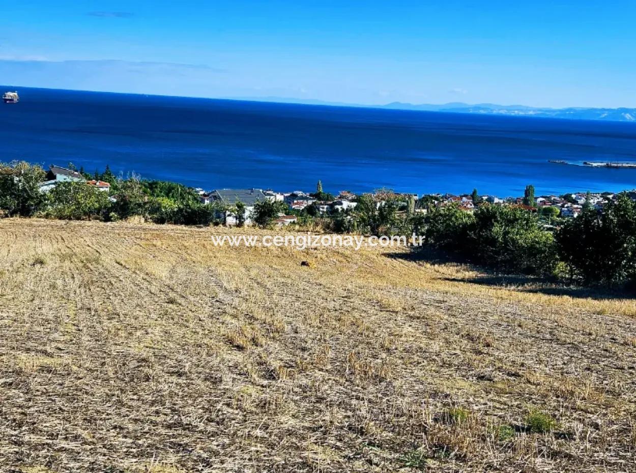 25 Flats With Full Sea View Coupon Place For Urgent Sale In Tekirdag Barbarosta