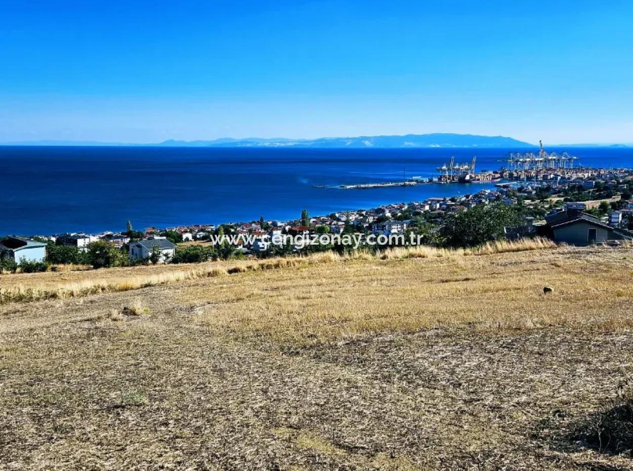 25 Flats With Full Sea View Coupon Place For Urgent Sale In Tekirdag Barbarosta