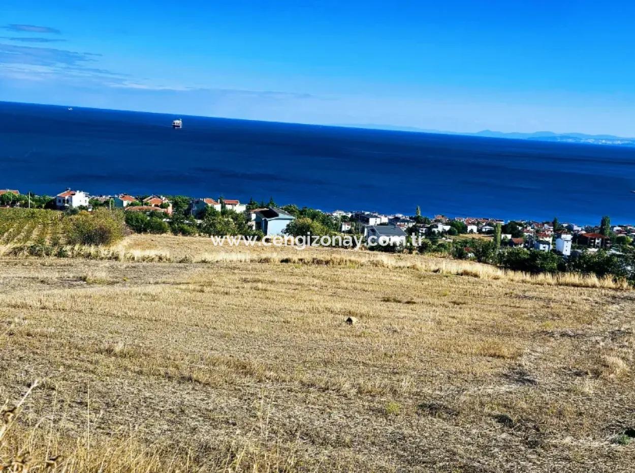 25 Flats With Full Sea View Coupon Place For Urgent Sale In Tekirdag Barbarosta