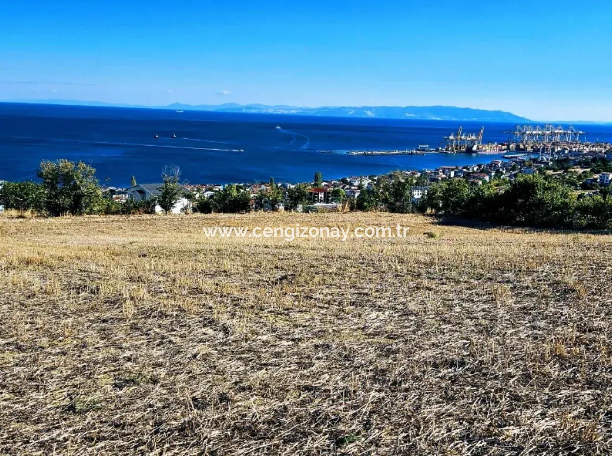 25 Flats With Full Sea View Coupon Place For Urgent Sale In Tekirdag Barbarosta