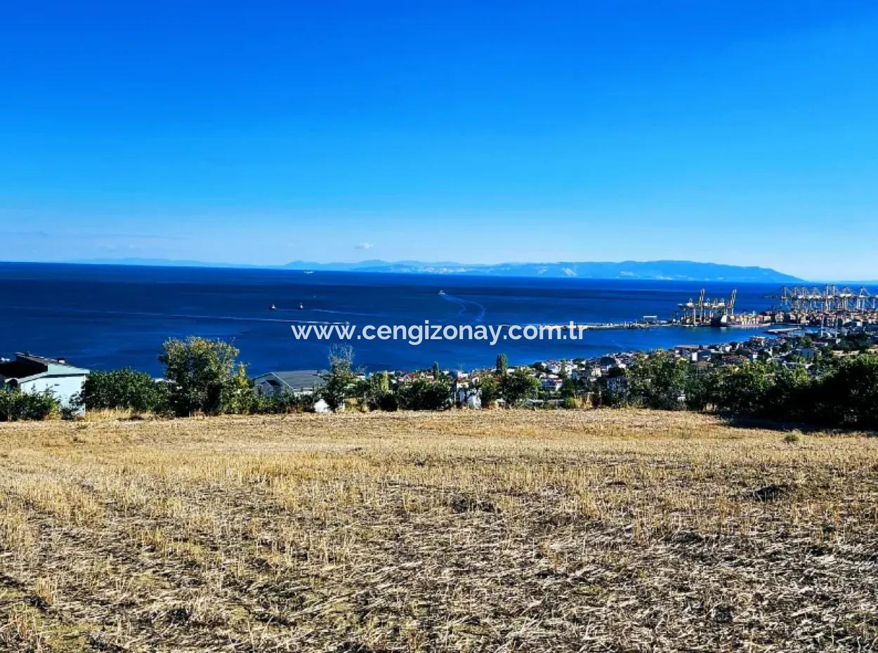 25 Flats With Full Sea View Coupon Place For Urgent Sale In Tekirdag Barbarosta
