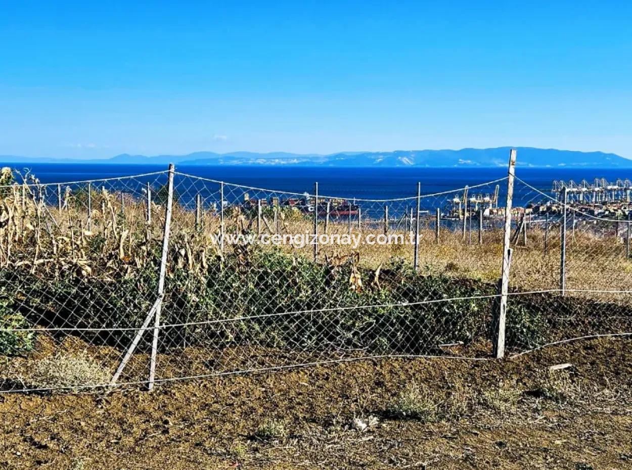 765 M2 Bargain Land With Full Sea View For Urgent Sale In Tekirdag Barbarosta