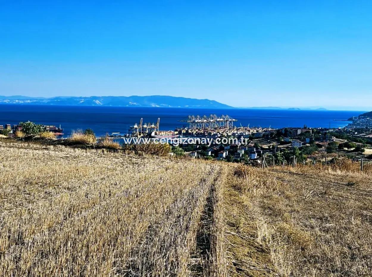 765 M2 Bargain Land With Full Sea View For Urgent Sale In Tekirdag Barbarosta