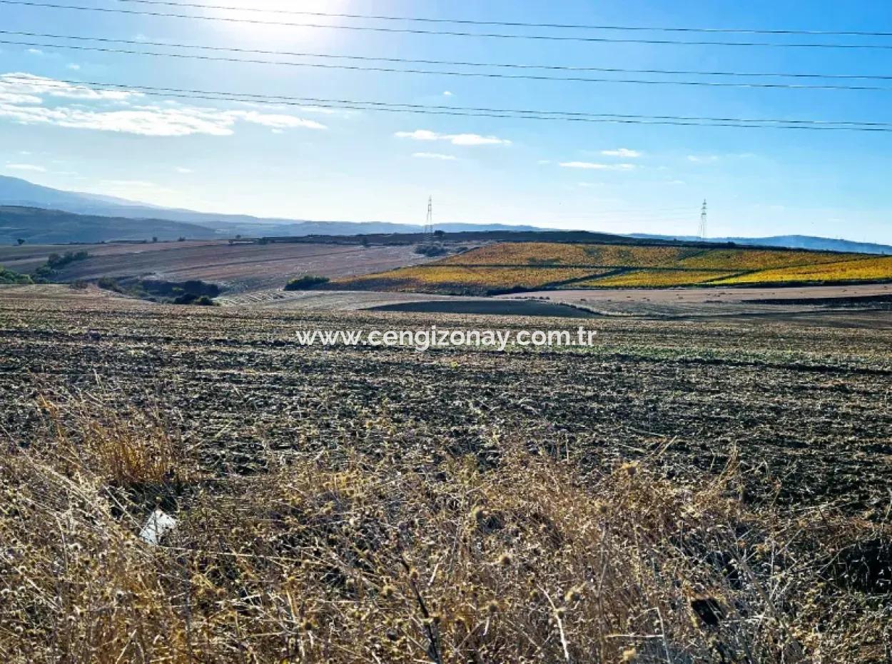 Asyaport Port Is Within The Current Zoning Plan ( Commercial