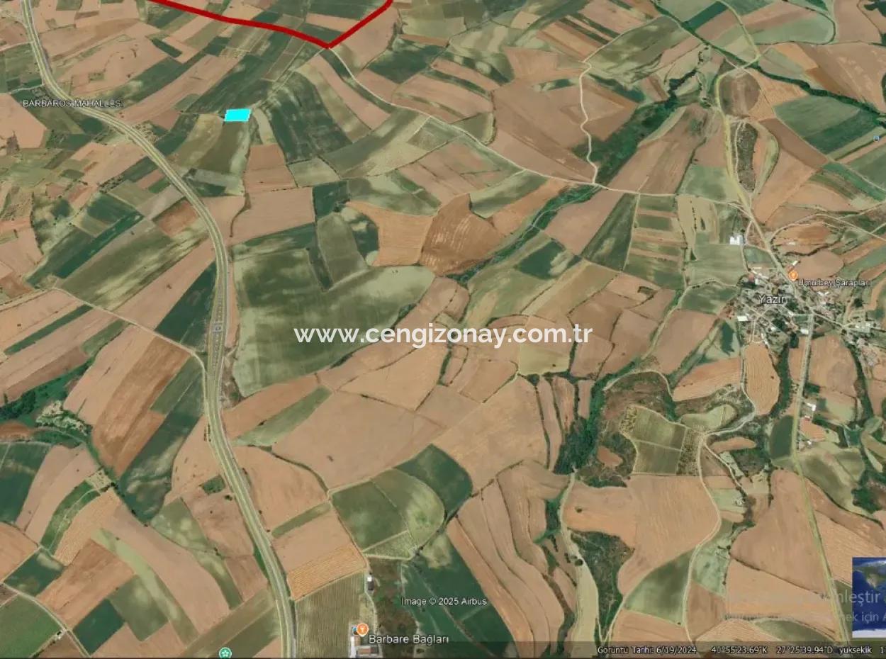 Asyaport Port Is Within The Current Zoning Plan ( Commercial