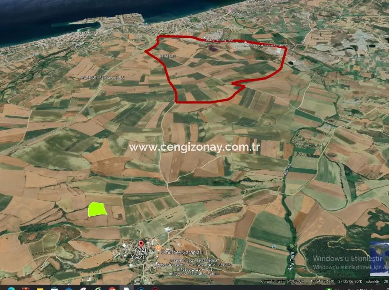 Azyaport Port Is Close To The Existing Zoning 16.100 Emergency Sale Investment Bargain Coupon Field