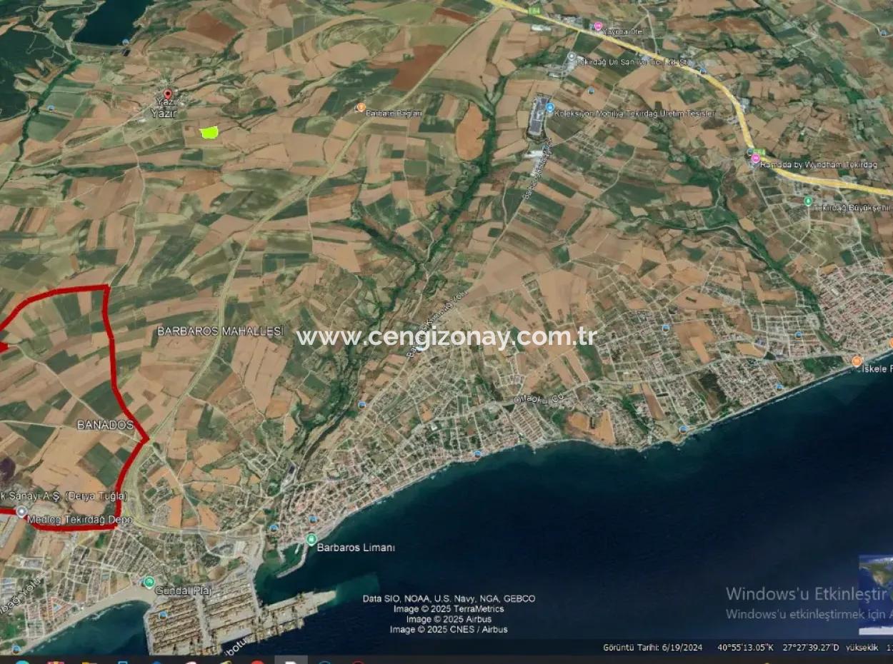 Azyaport Port Is Close To The Existing Zoning 16.100 Emergency Sale Investment Bargain Coupon Field
