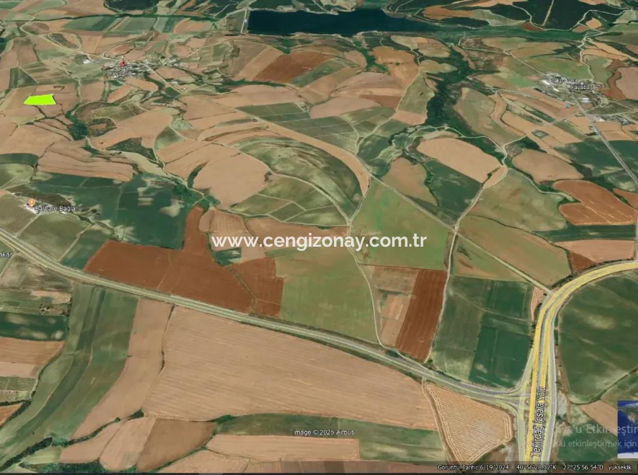 Azyaport Port Is Close To The Existing Zoning 16.100 Emergency Sale Investment Bargain Coupon Field