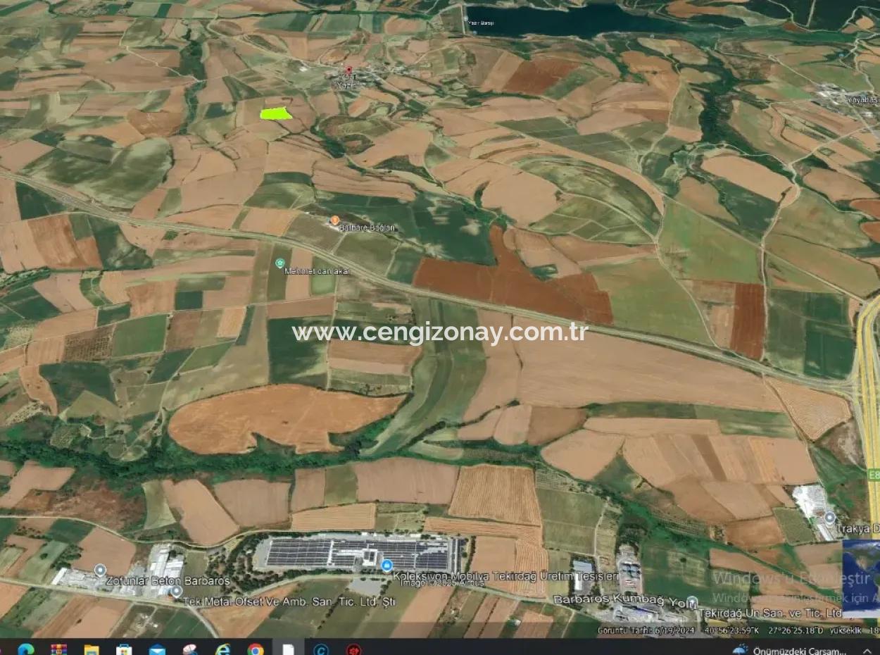 Azyaport Port Is Close To The Existing Zoning 16.100 Emergency Sale Investment Bargain Coupon Field