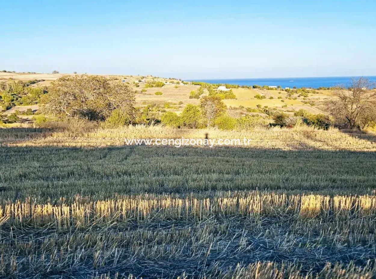 Asyaport Port Is A High Profit Guarantee Opportunity Land For Its Investors Within The Current Zoning Plan