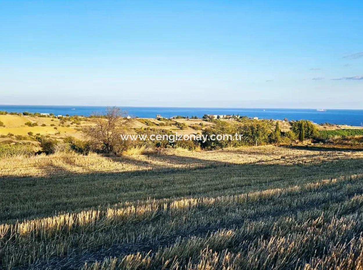 Asyaport Port Is A High Profit Guarantee Opportunity Land For Its Investors Within The Current Zoning Plan