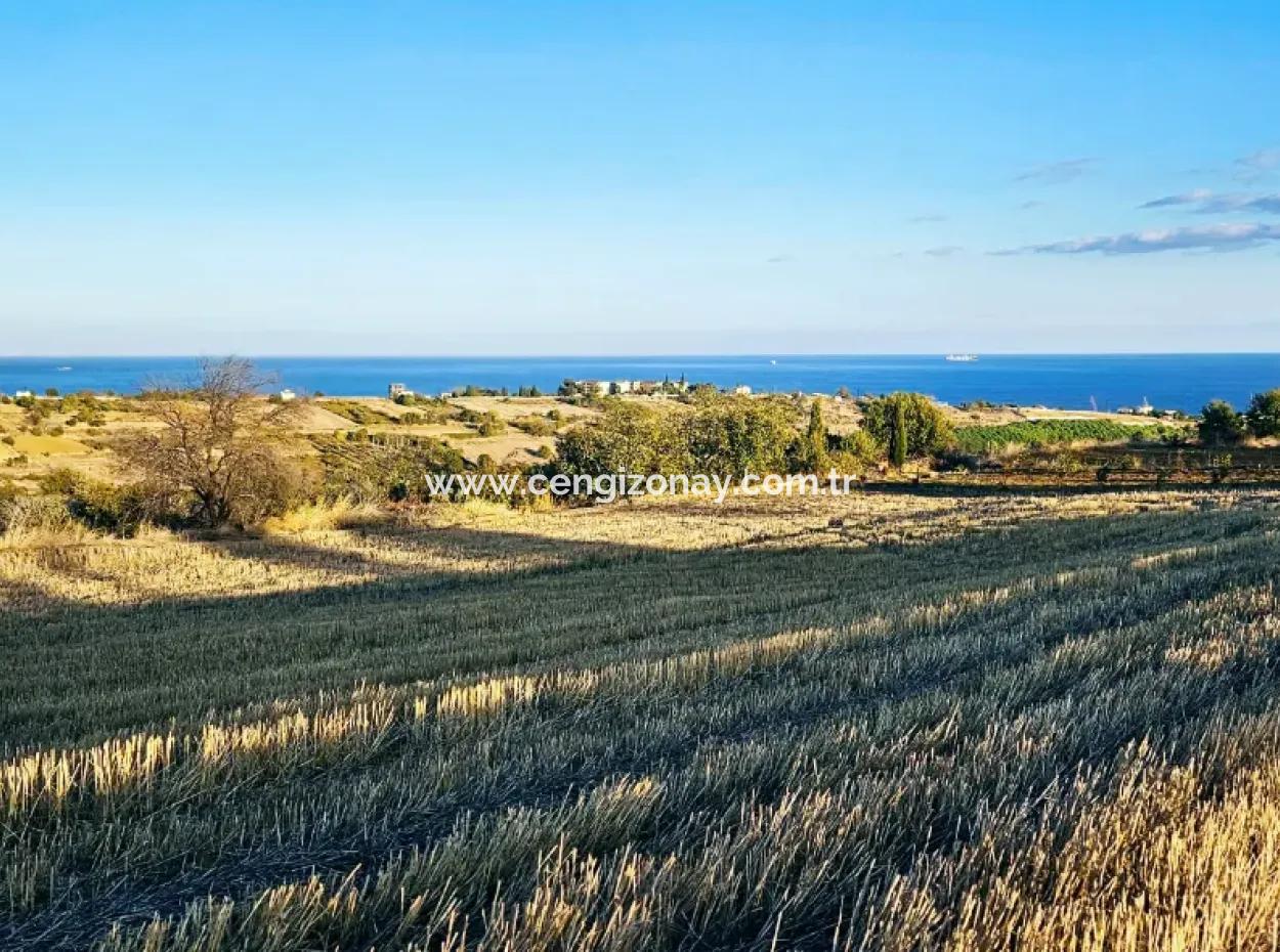 Asyaport Port Is A High Profit Guarantee Opportunity Land For Its Investors Within The Current Zoning Plan