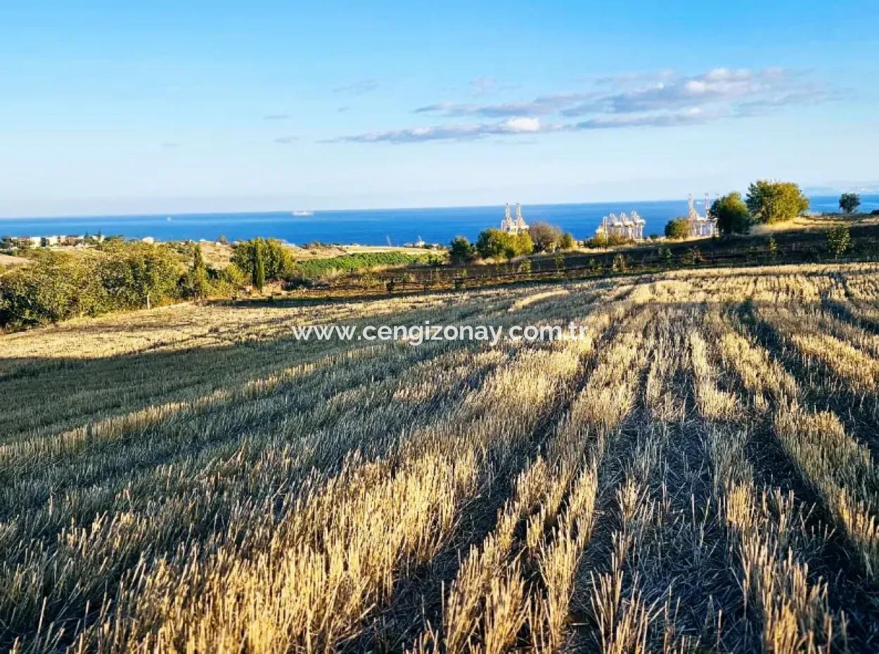 Asyaport Port Is A High Profit Guarantee Opportunity Land For Its Investors Within The Current Zoning Plan