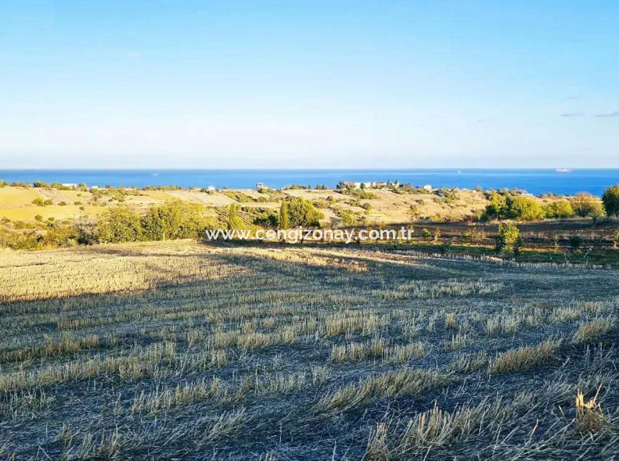 Asyaport Port Is A High Profit Guarantee Opportunity Land For Its Investors Within The Current Zoning Plan