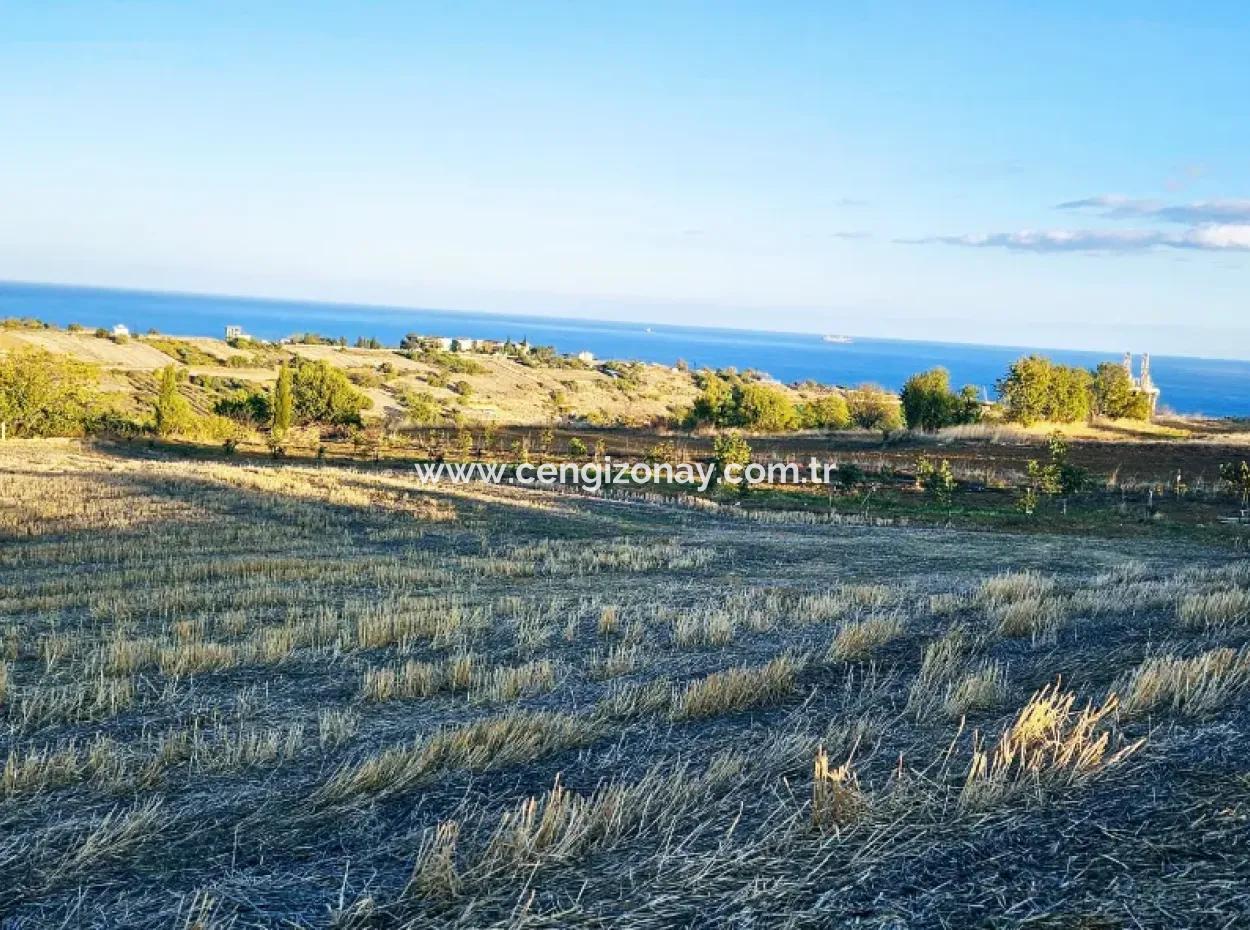 Asyaport Port Is A High Profit Guarantee Opportunity Land For Its Investors Within The Current Zoning Plan