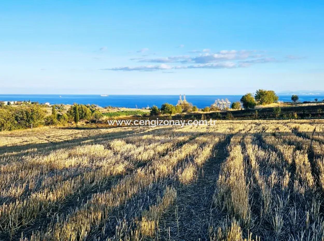 Asyaport Port Is A High Profit Guarantee Opportunity Land For Its Investors Within The Current Zoning Plan