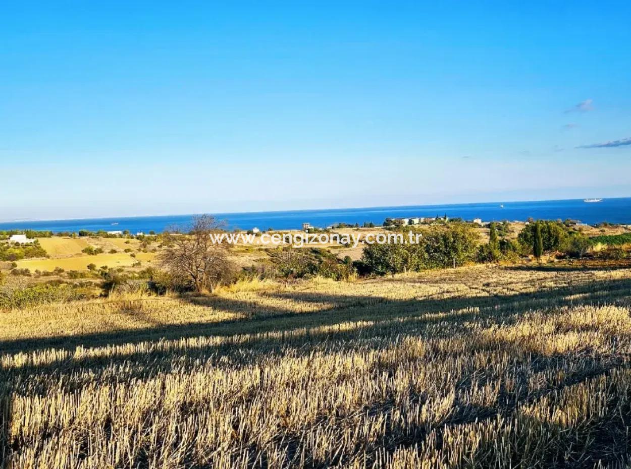 Asyaport Port Is A High Profit Guarantee Opportunity Land For Its Investors Within The Current Zoning Plan