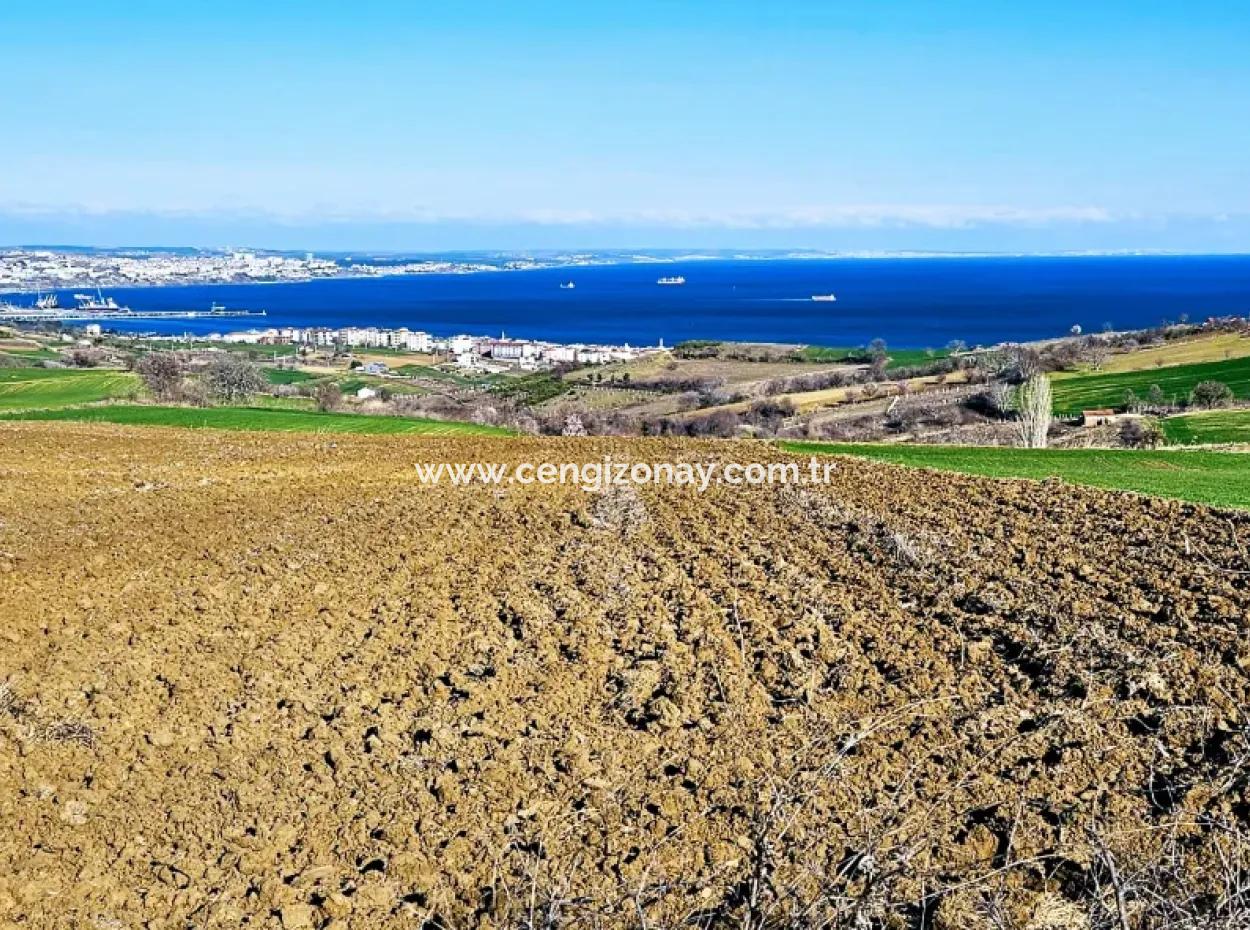 Tekirdag Barbarosta Luxury Villa Project Yap. Give A Flat To The Contractors And Make A High Profit Villa With Full Sea View Zoned Land