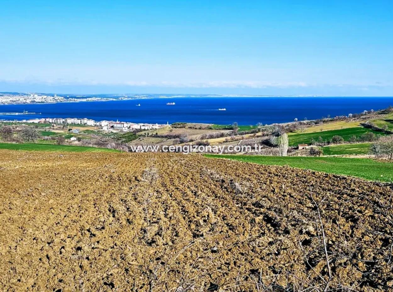 Tekirdag Barbarosta Luxury Villa Project Yap. Give A Flat To The Contractors And Make A High Profit Villa With Full Sea View Zoned Land