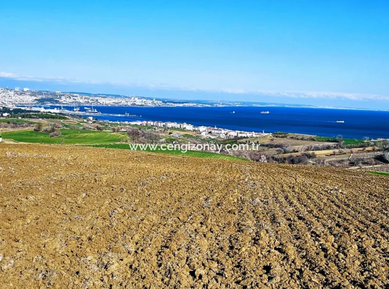 Tekirdag Barbarosta Luxury Villa Project Yap. Give A Flat To The Contractors And Make A High Profit Villa With Full Sea View Zoned Land