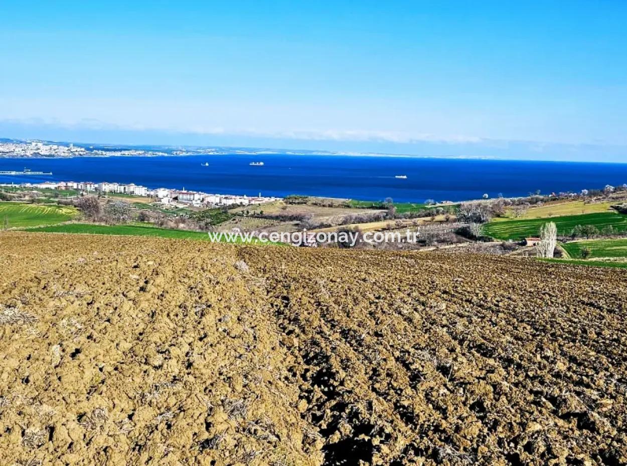 Tekirdag Barbarosta Luxury Villa Project Yap. Give A Flat To The Contractors And Make A High Profit Villa With Full Sea View Zoned Land