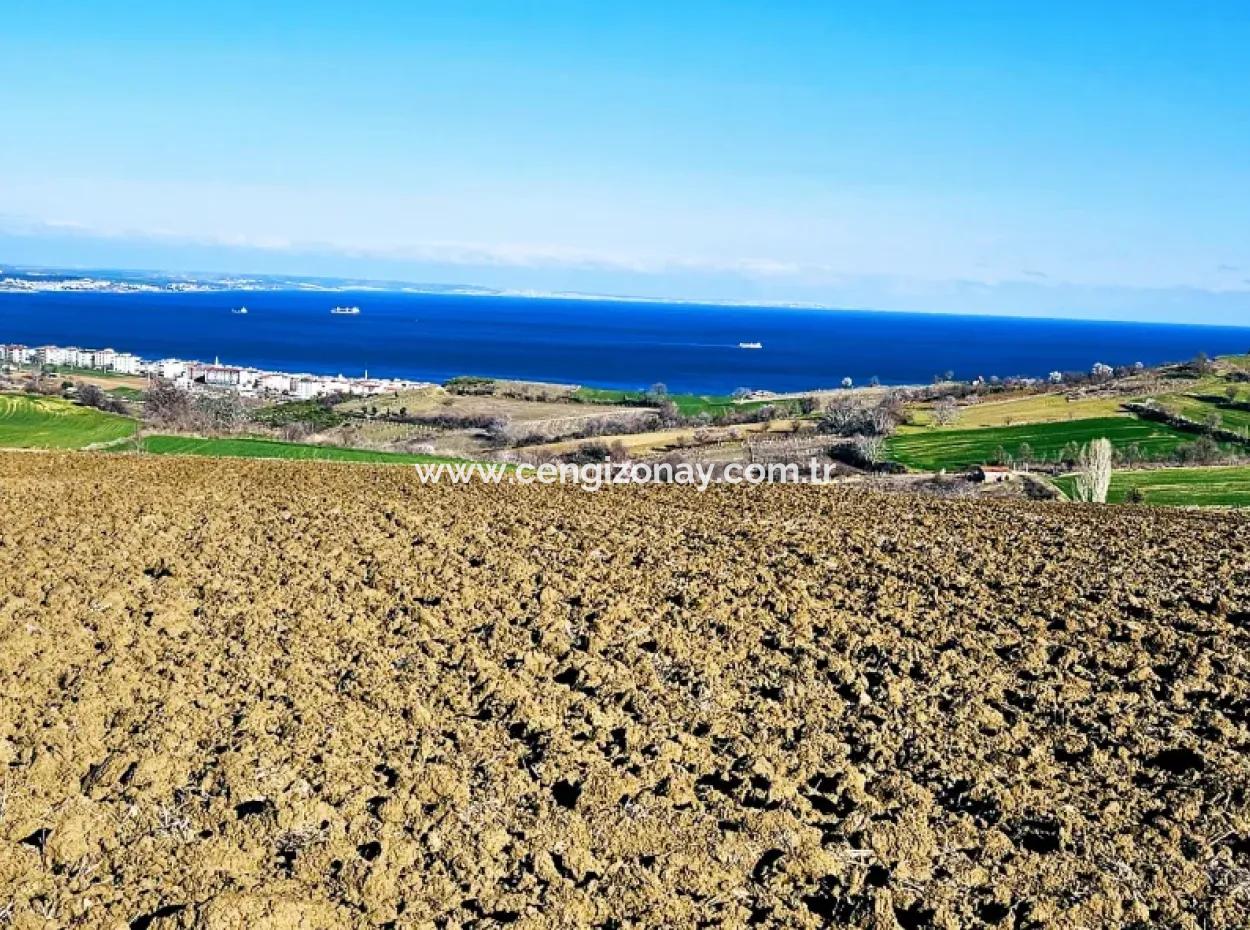 Tekirdag Barbarosta Luxury Villa Project Yap. Give A Flat To The Contractors And Make A High Profit Villa With Full Sea View Zoned Land