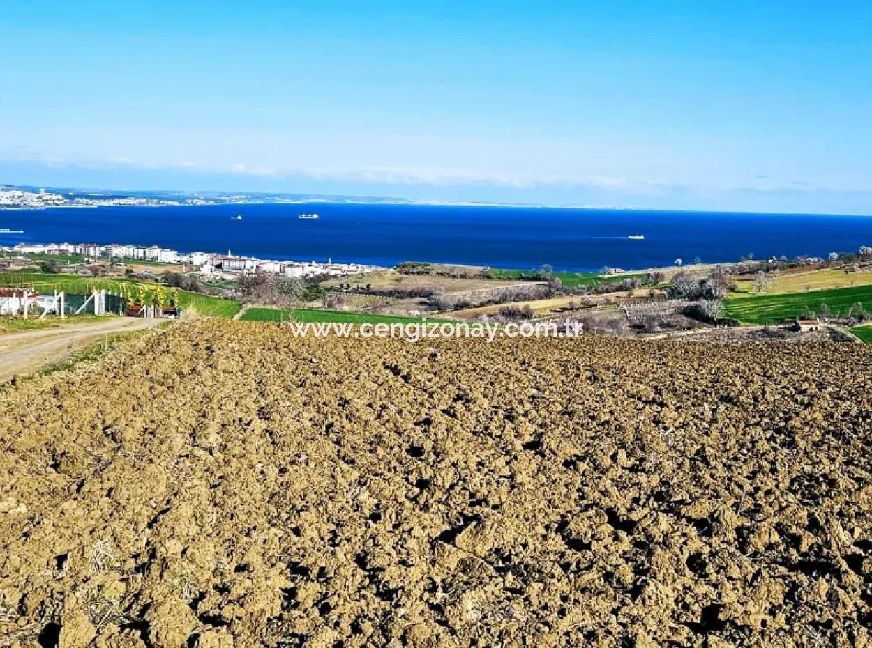 Tekirdag Barbarosta Luxury Villa Project Yap. Give A Flat To The Contractors And Make A High Profit Villa With Full Sea View Zoned Land