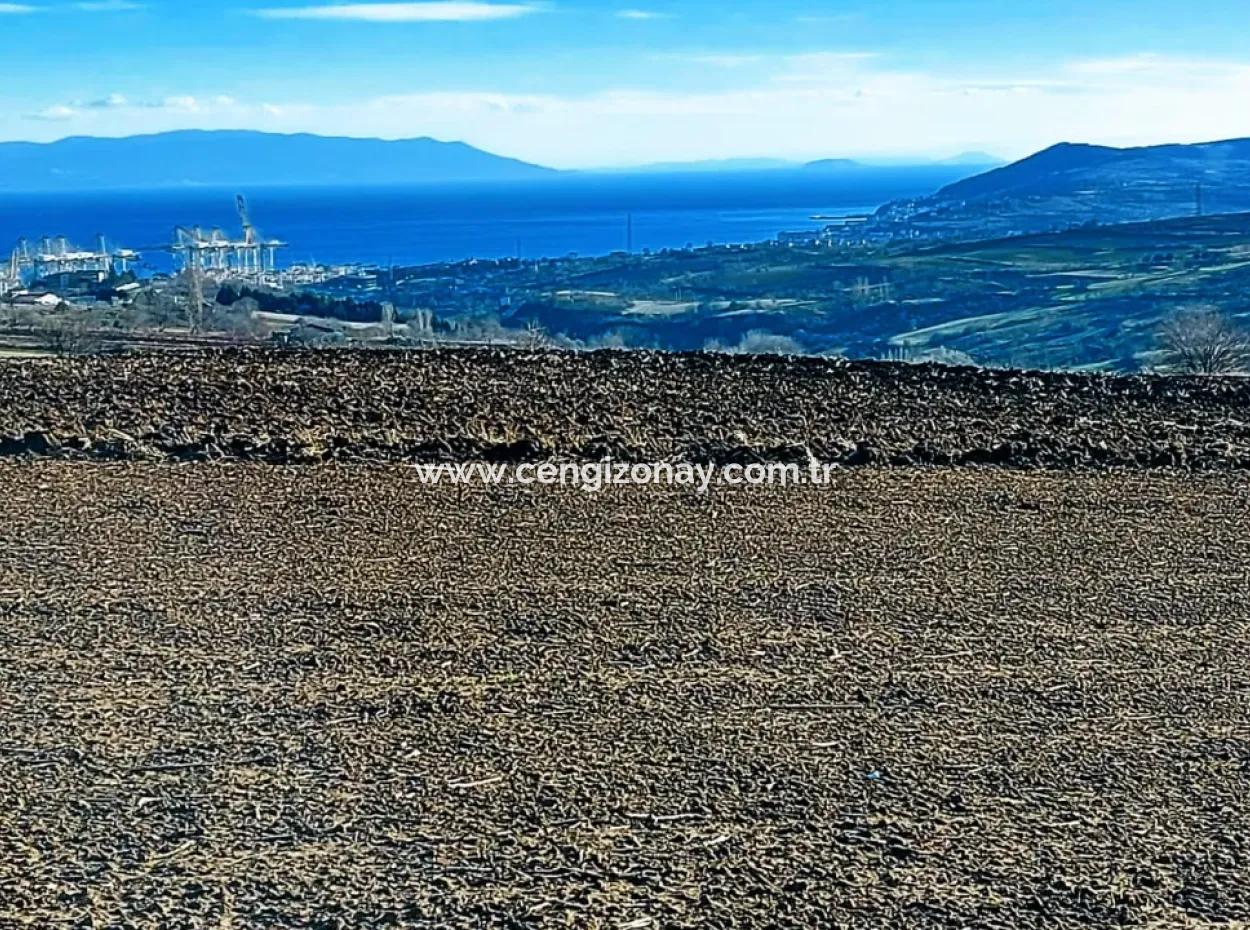 5.400 M2 High Profit Guaranteed Opportunity Place In The Area Of Factories For Urgent Sale