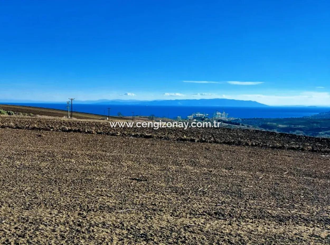 5.400 M2 High Profit Guaranteed Opportunity Place In The Area Of Factories For Urgent Sale