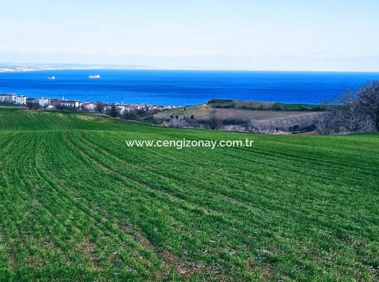 The Closest Region To Istanbul Is Tekirdag Barbarost 34,500 Opportunity Zoned Land Suitable For Building 75 Luxury Villas With Full Sea And Nature Views