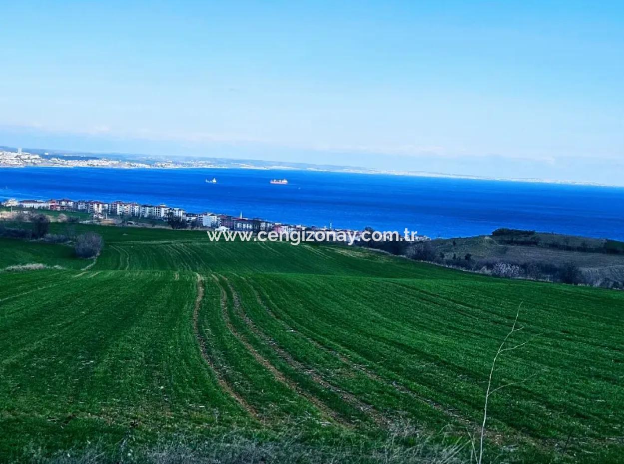The Closest Region To Istanbul Is Tekirdag Barbarost 34,500 Opportunity Zoned Land Suitable For Building 75 Luxury Villas With Full Sea And Nature Views