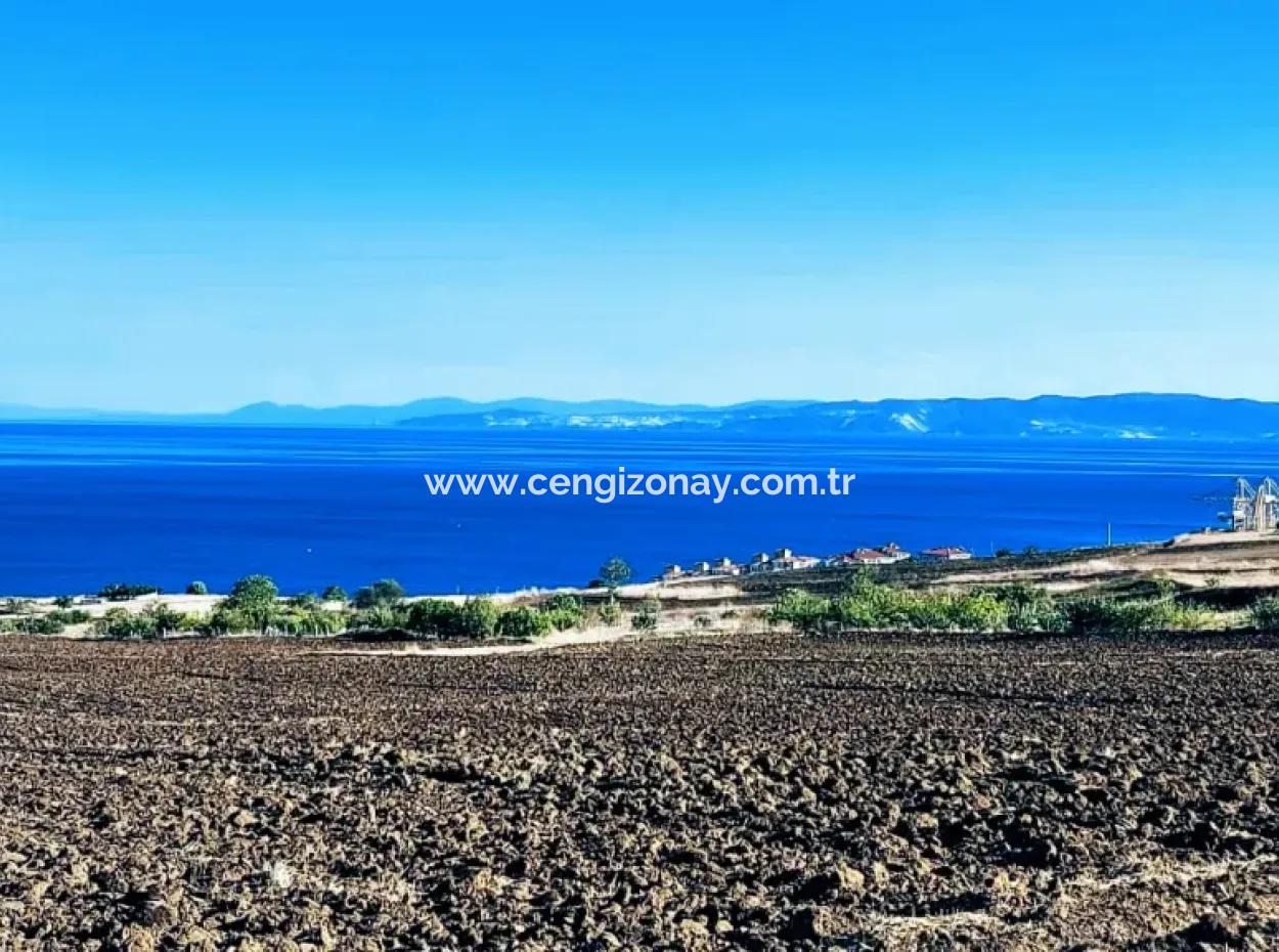 High Profit Guarantee Invest In 44 Flats Of Mass Housing Area Give To Contractors Double Your Profits